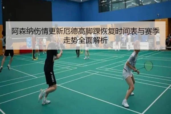 阿森纳伤情更新厄德高脚踝恢复时间表与赛季走势全面解析
